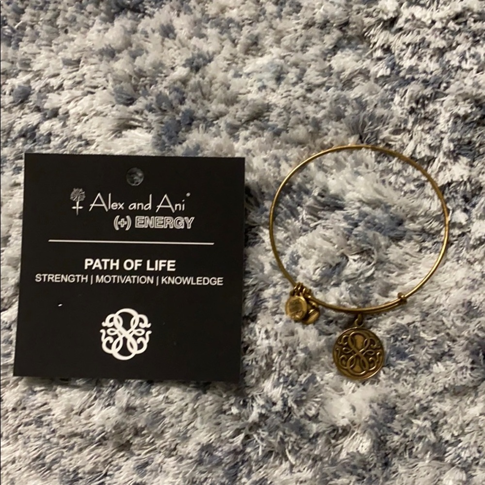Alex and Ani Bracelet